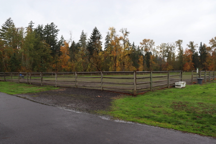 A fenced riding arena – free to public A fenced riding arena – free to public